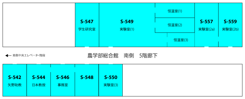 研究室の配置