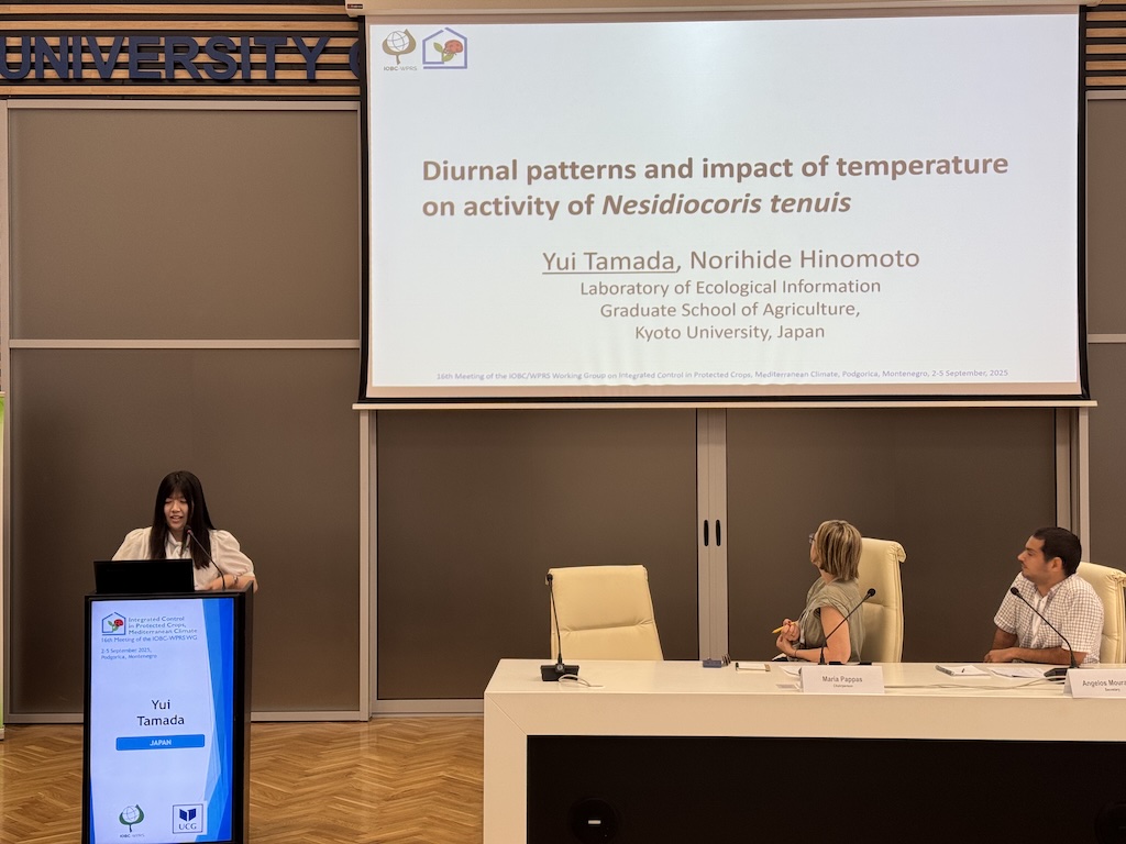 Tamada's Presentation